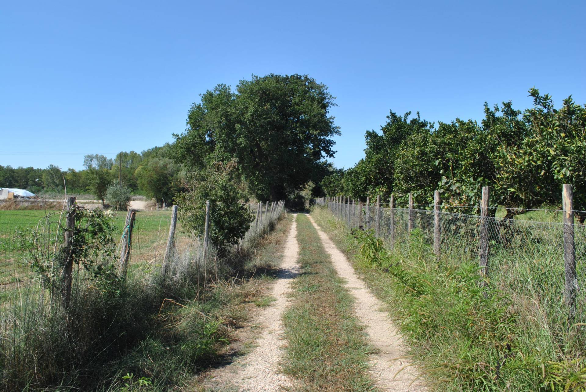 Terreno Agricolo in vendita a Eboli