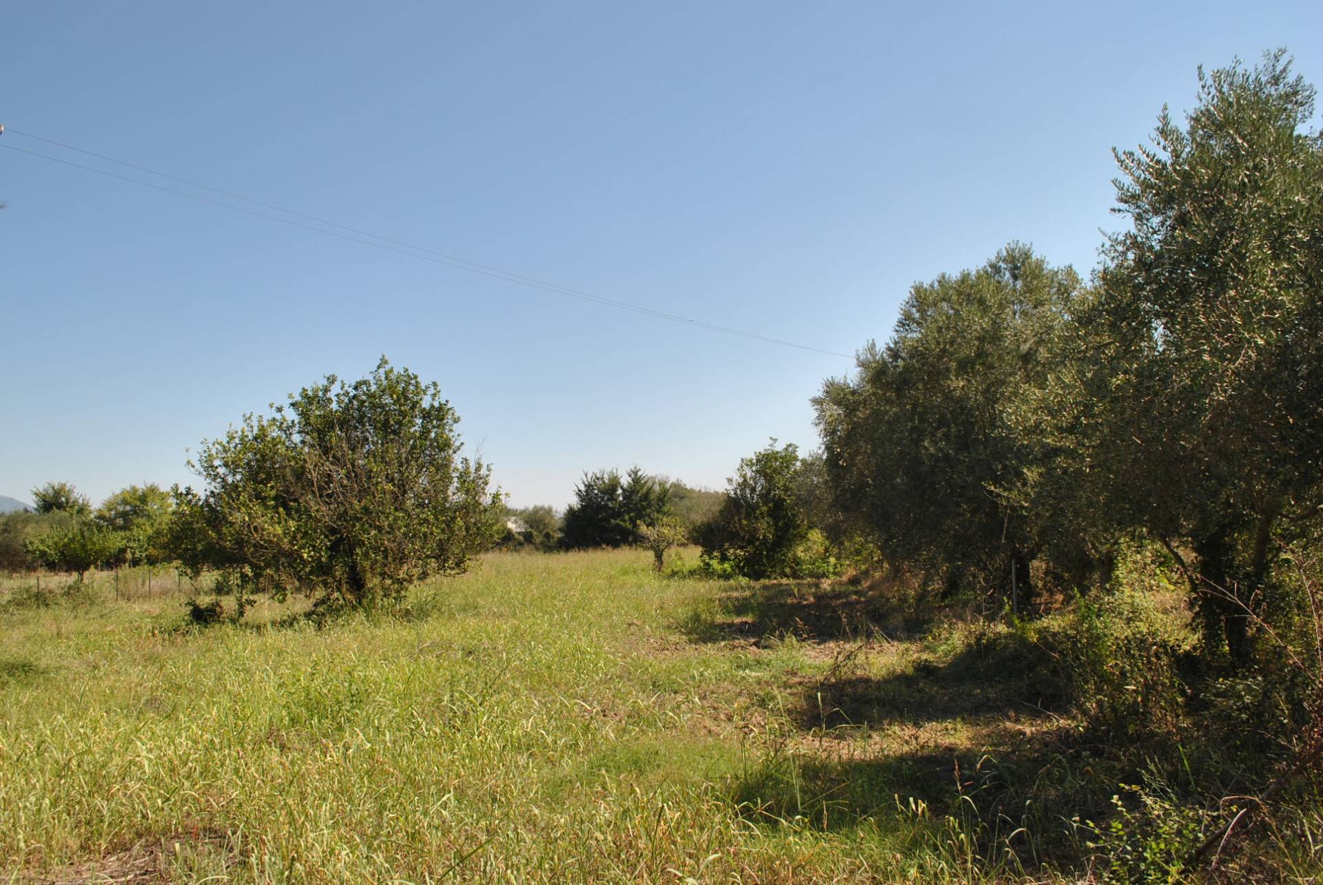 Terreno Agricolo in vendita a Eboli