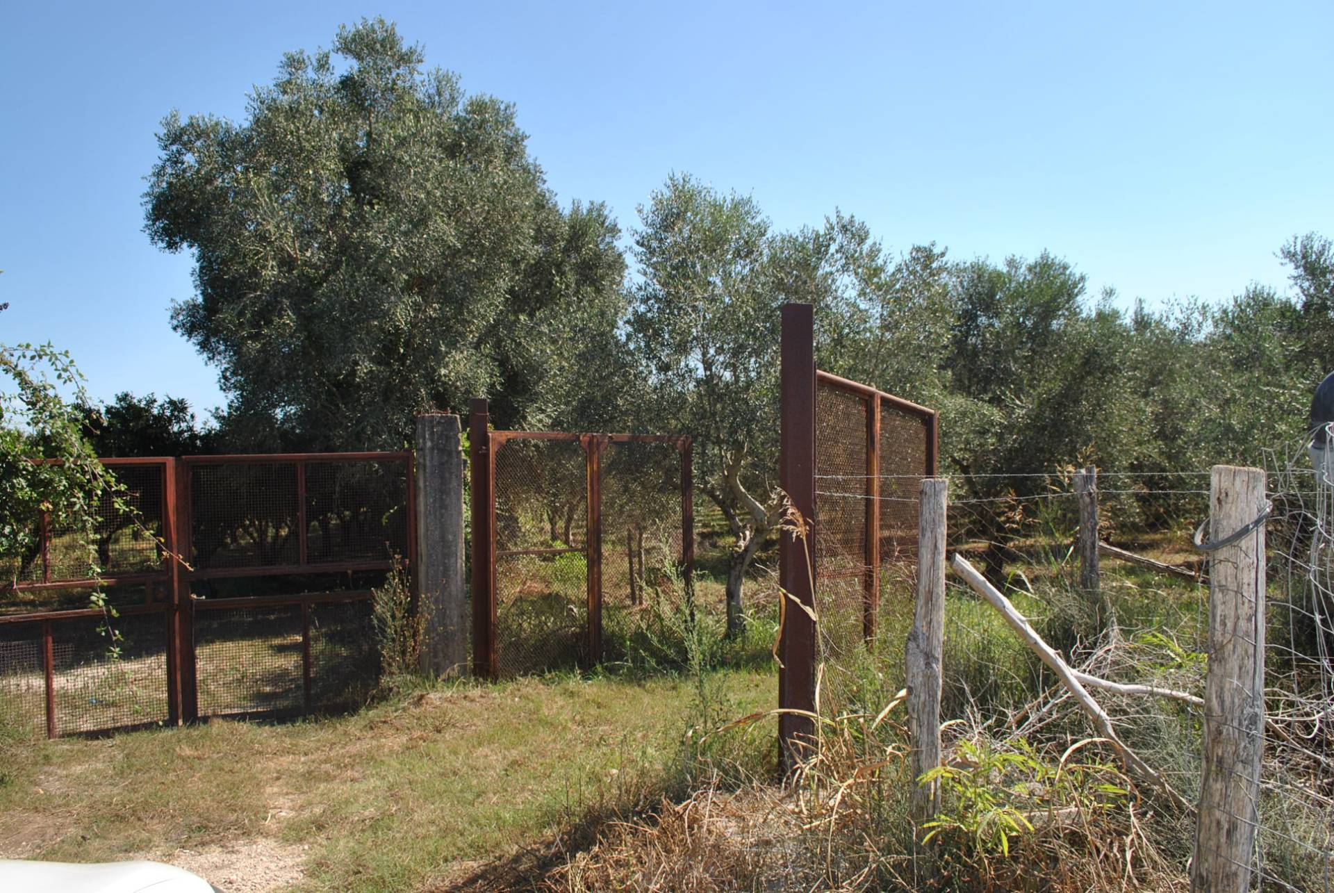 Terreno Agricolo in vendita a Eboli