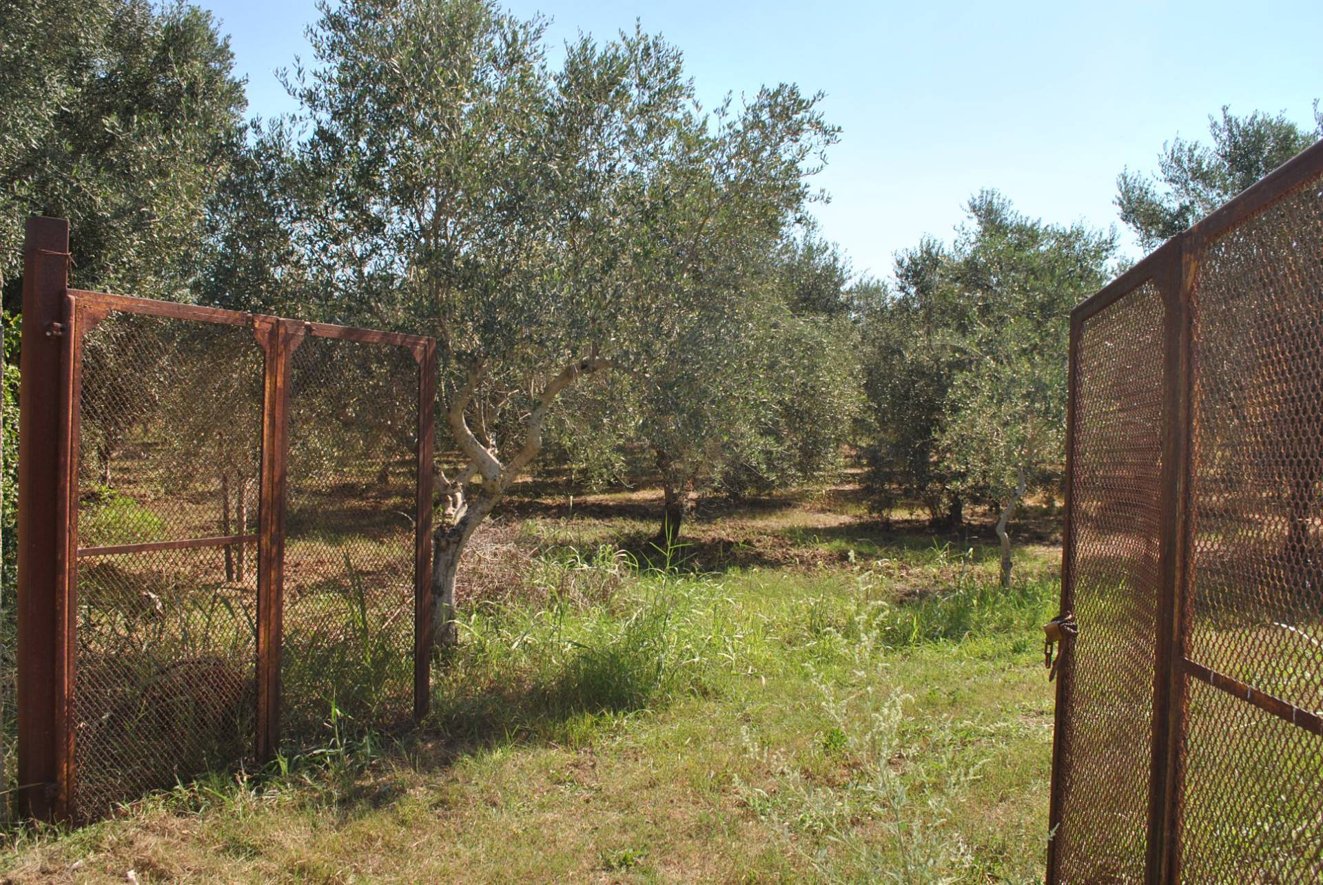 Terreno Agricolo in vendita a Eboli