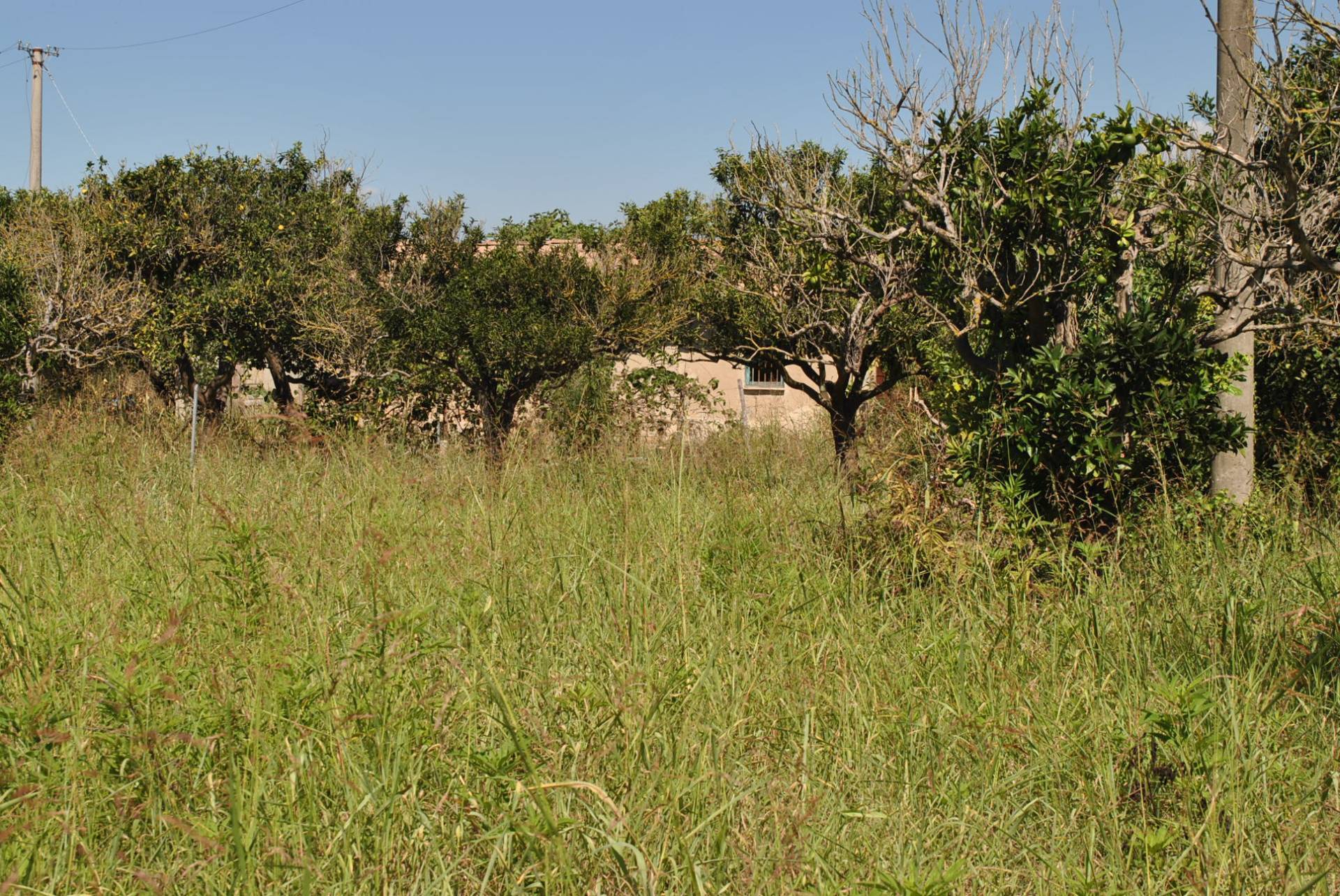 Terreno Agricolo in vendita a Eboli