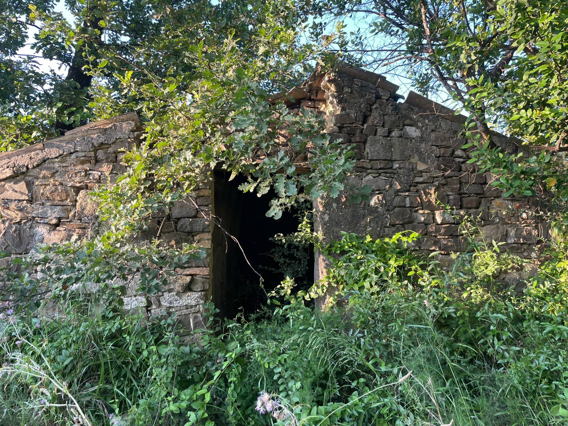 Terreno Agricolo in vendita a Serre