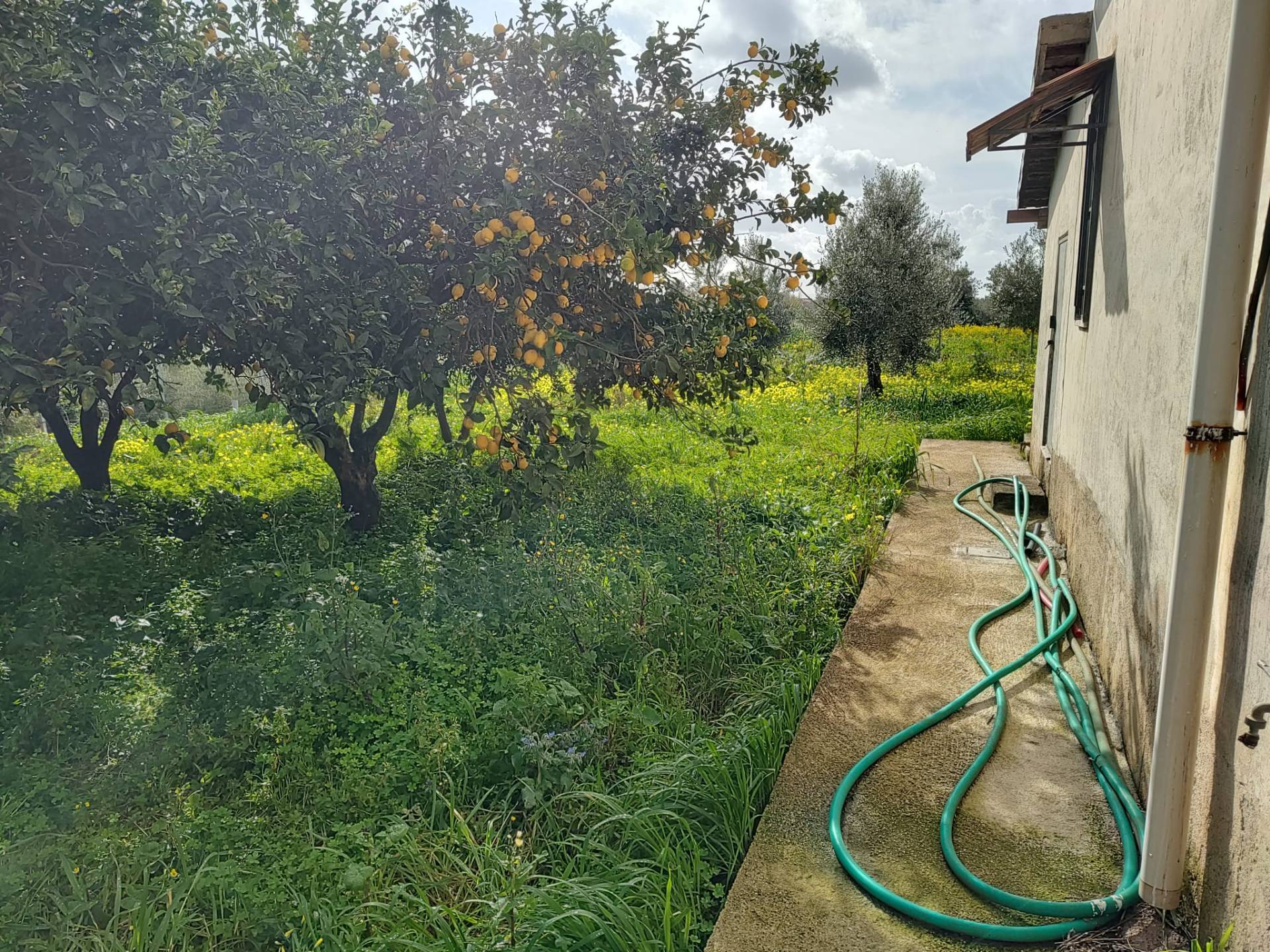 Terreno Agricolo in vendita a Eboli, Scorziello - Fiocche