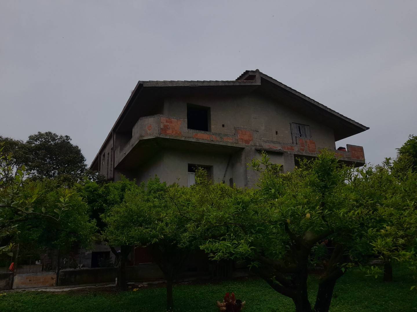 immagine annuncio 4 di 6