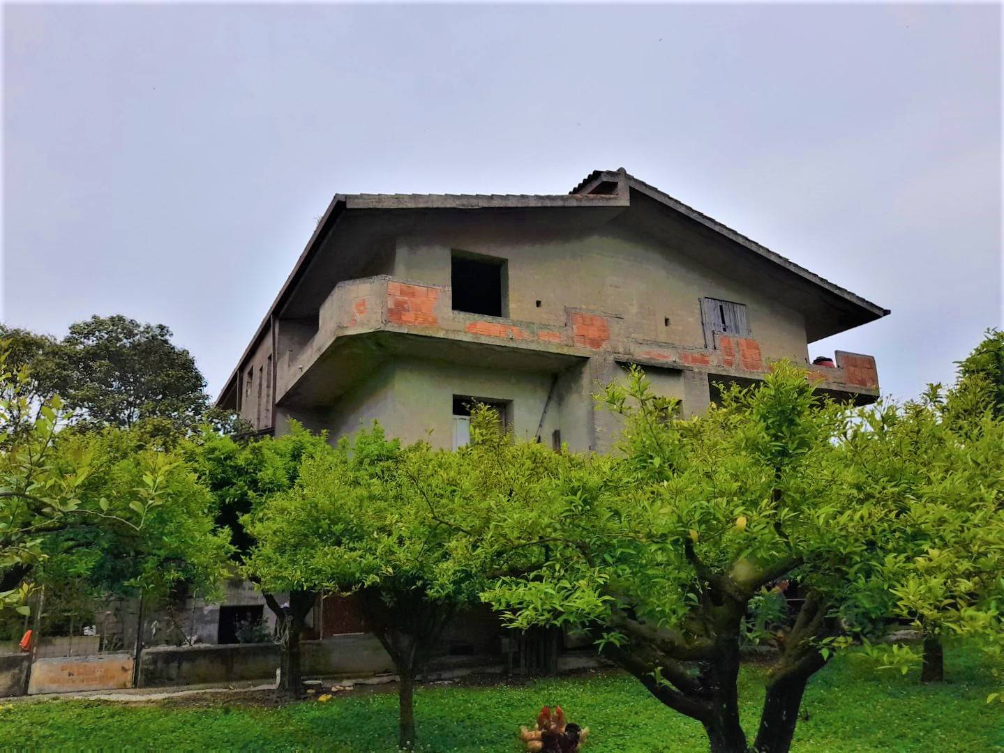 immagine annuncio 5 di 6