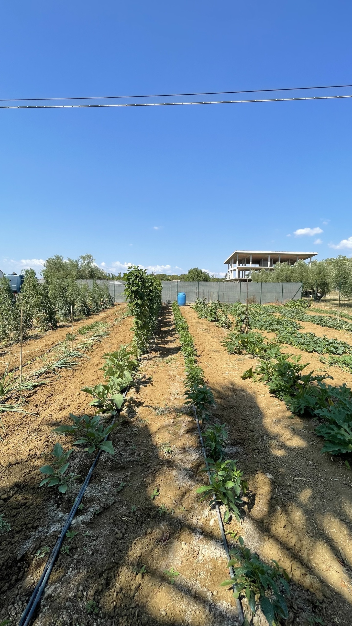 Terreno Industriale in vendita a Citt Sant'Angelo