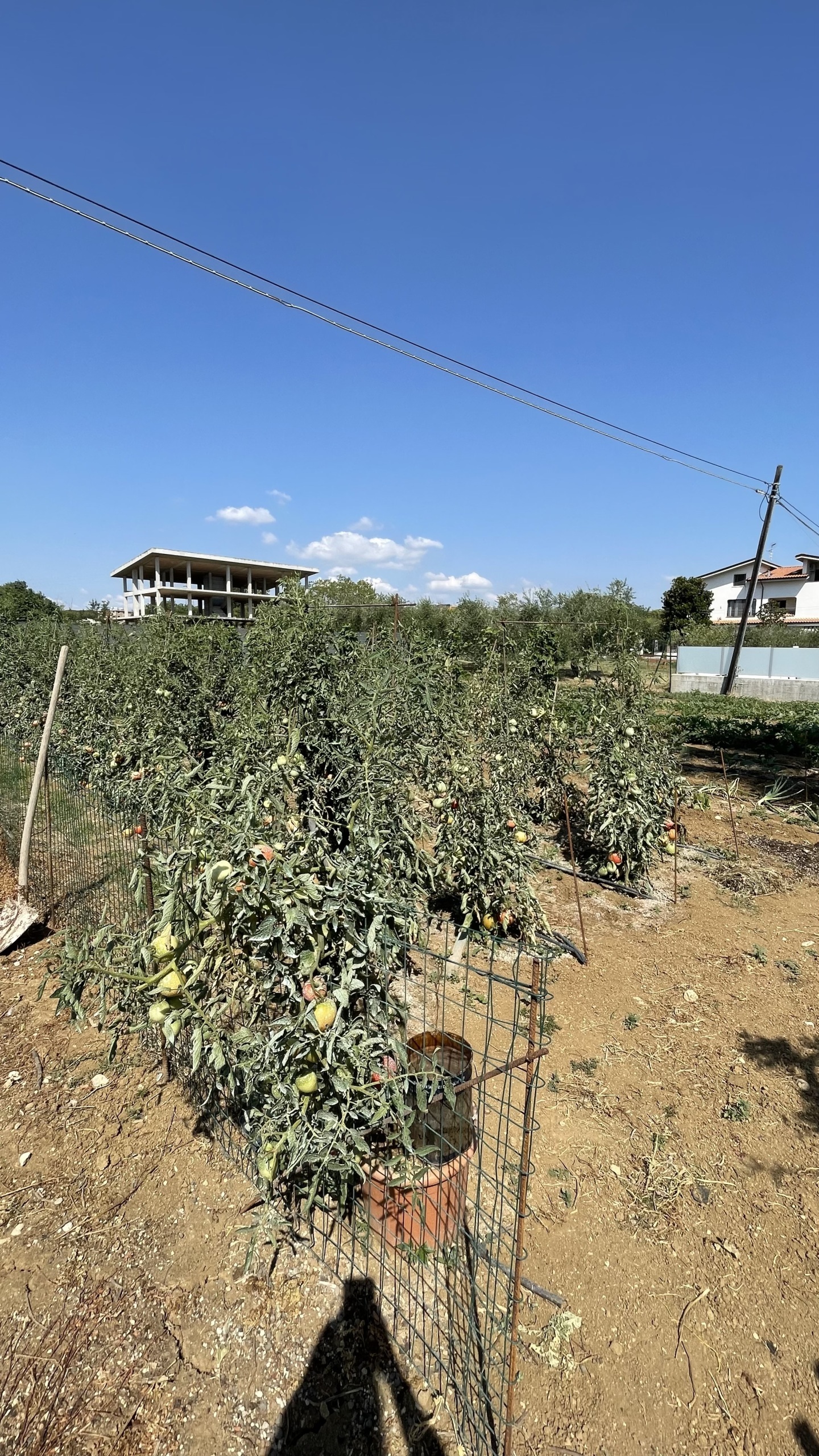Terreno Industriale in vendita a Citt Sant'Angelo