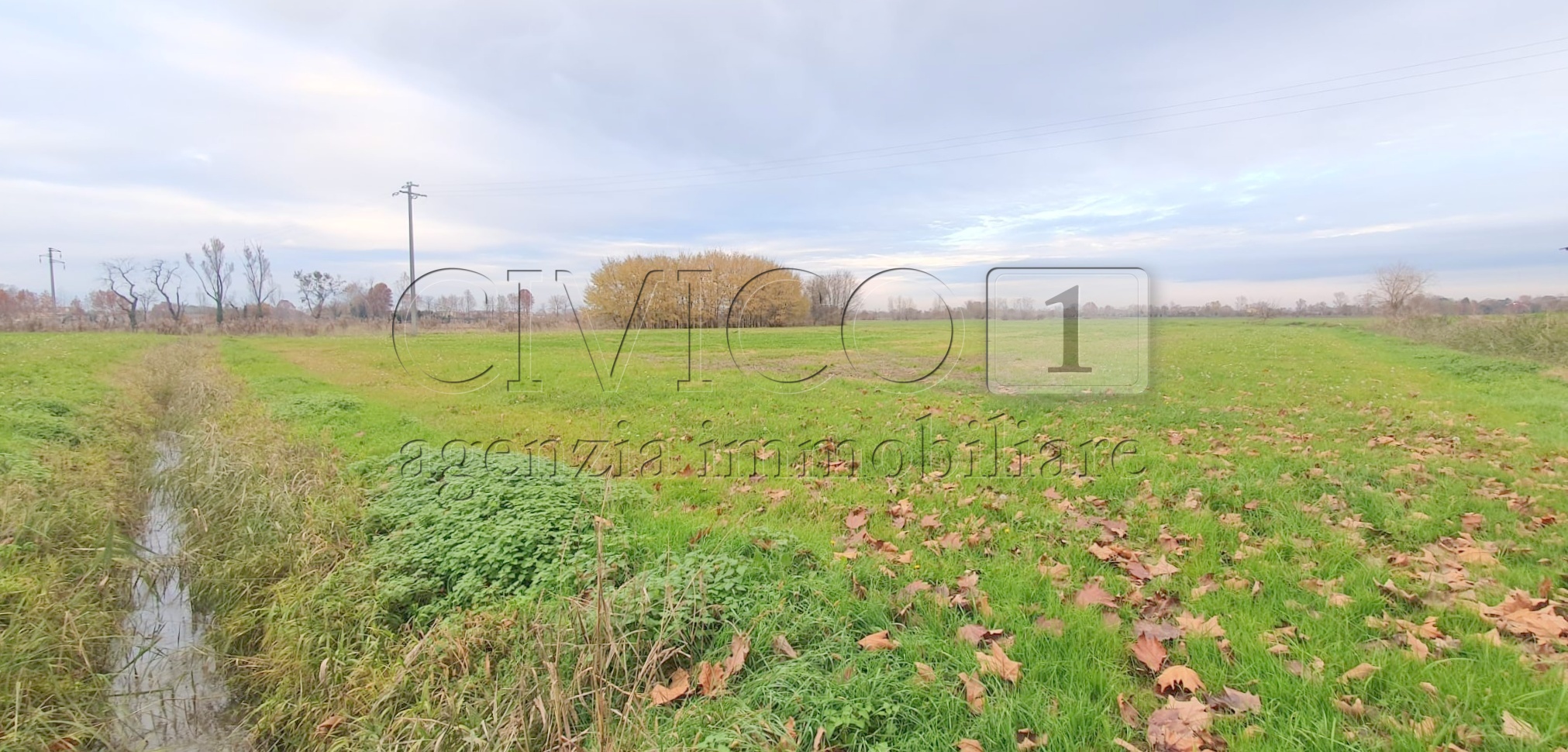 Terreno Agricolo in vendita in via vicenza snc, Camisano Vicentino