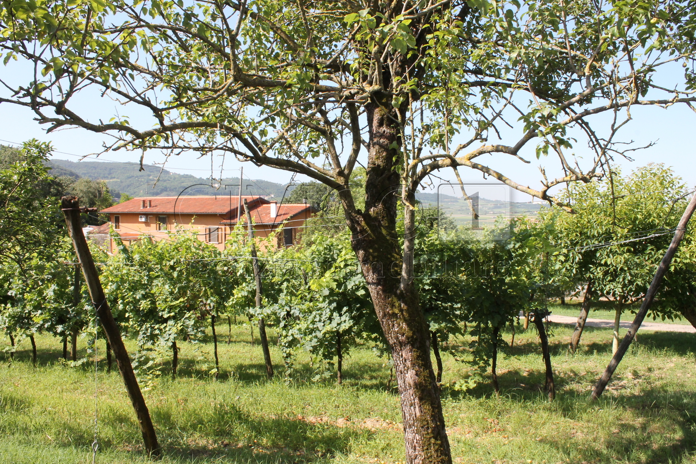 Villa da ristrutturare a Vicenza