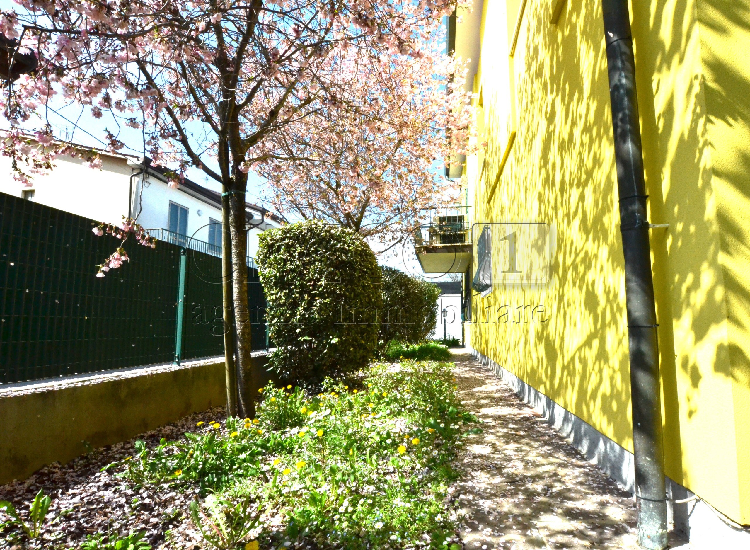 Casa indipendente con giardino in via galileo galilei 4, Albignasego