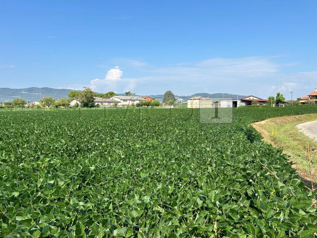 Terreno Agricolo in vendita in via volpara, Castegnero