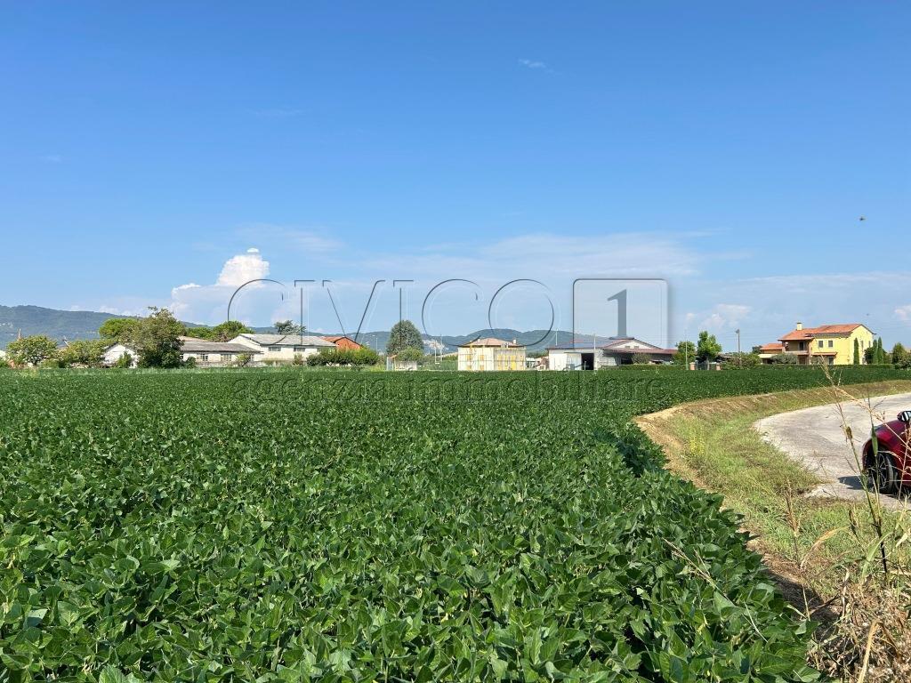 Terreno Agricolo in vendita in via volpara, Castegnero