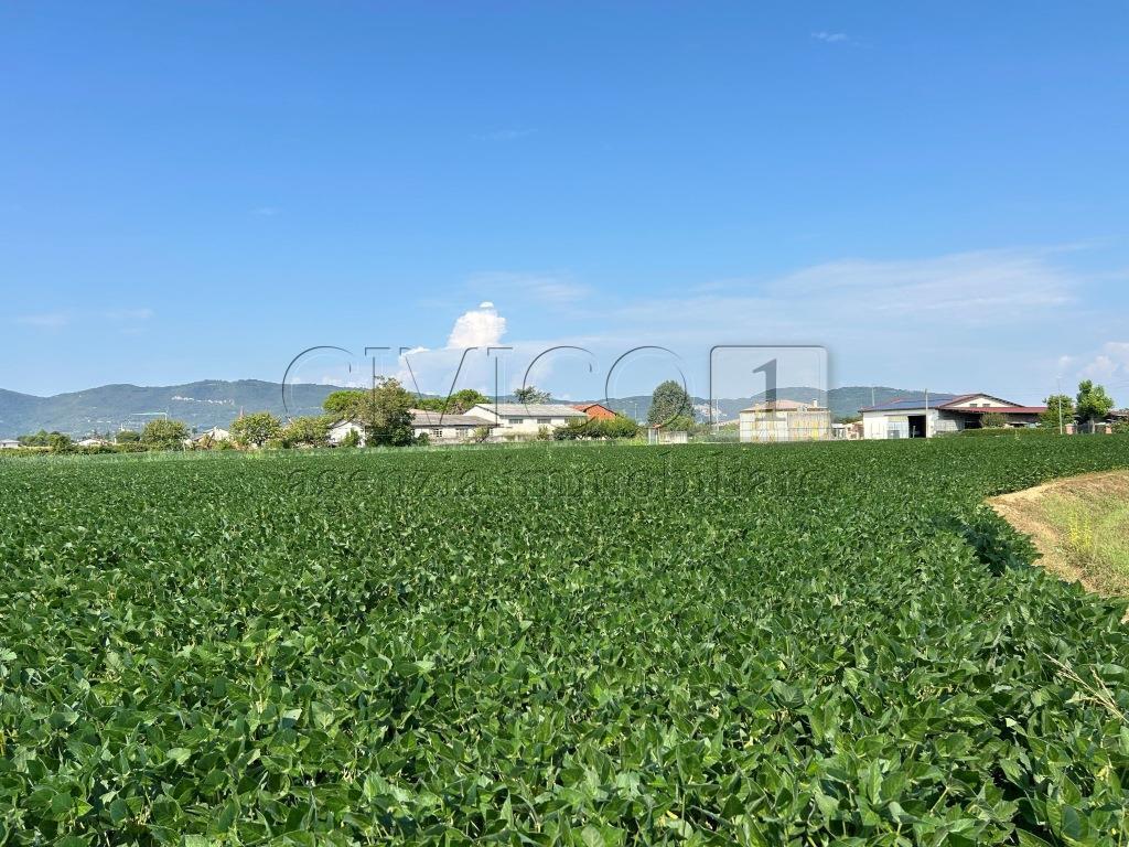 Terreno Agricolo in vendita in via volpara, Castegnero
