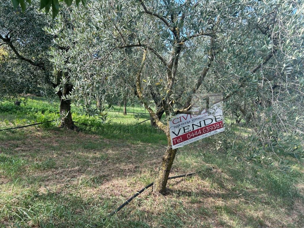 Terreno Agricolo in vendita in via castellaro, Castegnero