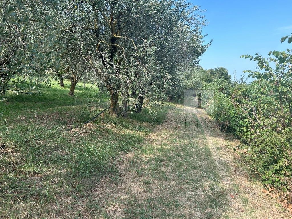 Terreno Agricolo in vendita in via castellaro, Castegnero