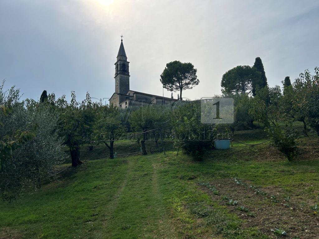 Terreno Agricolo in vendita in via calcare, Castegnero