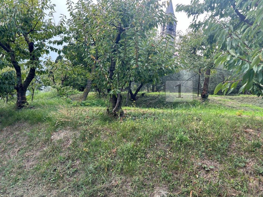 Terreno Agricolo in vendita in via calcare, Castegnero