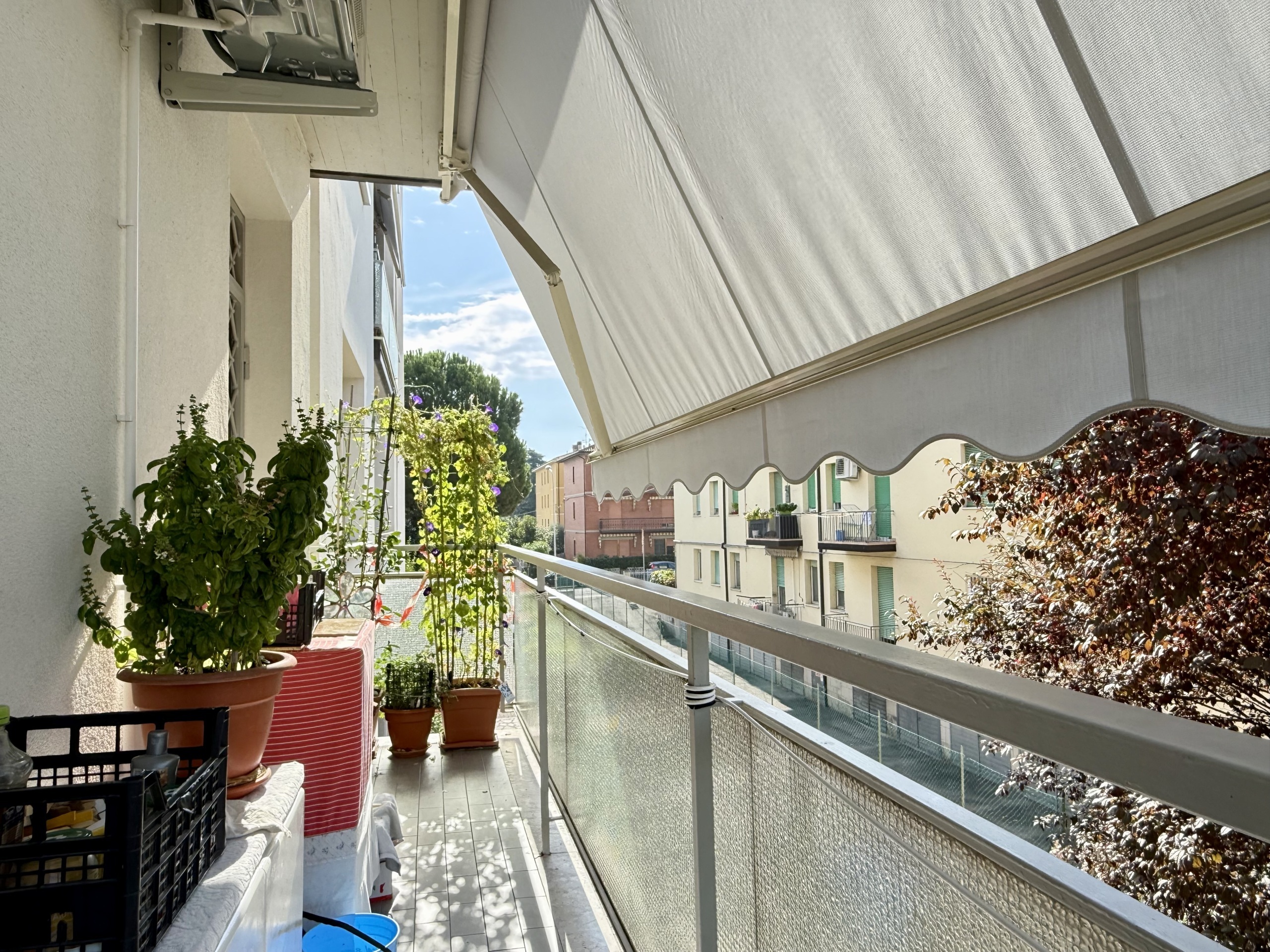 immagine annuncio 5 di 6