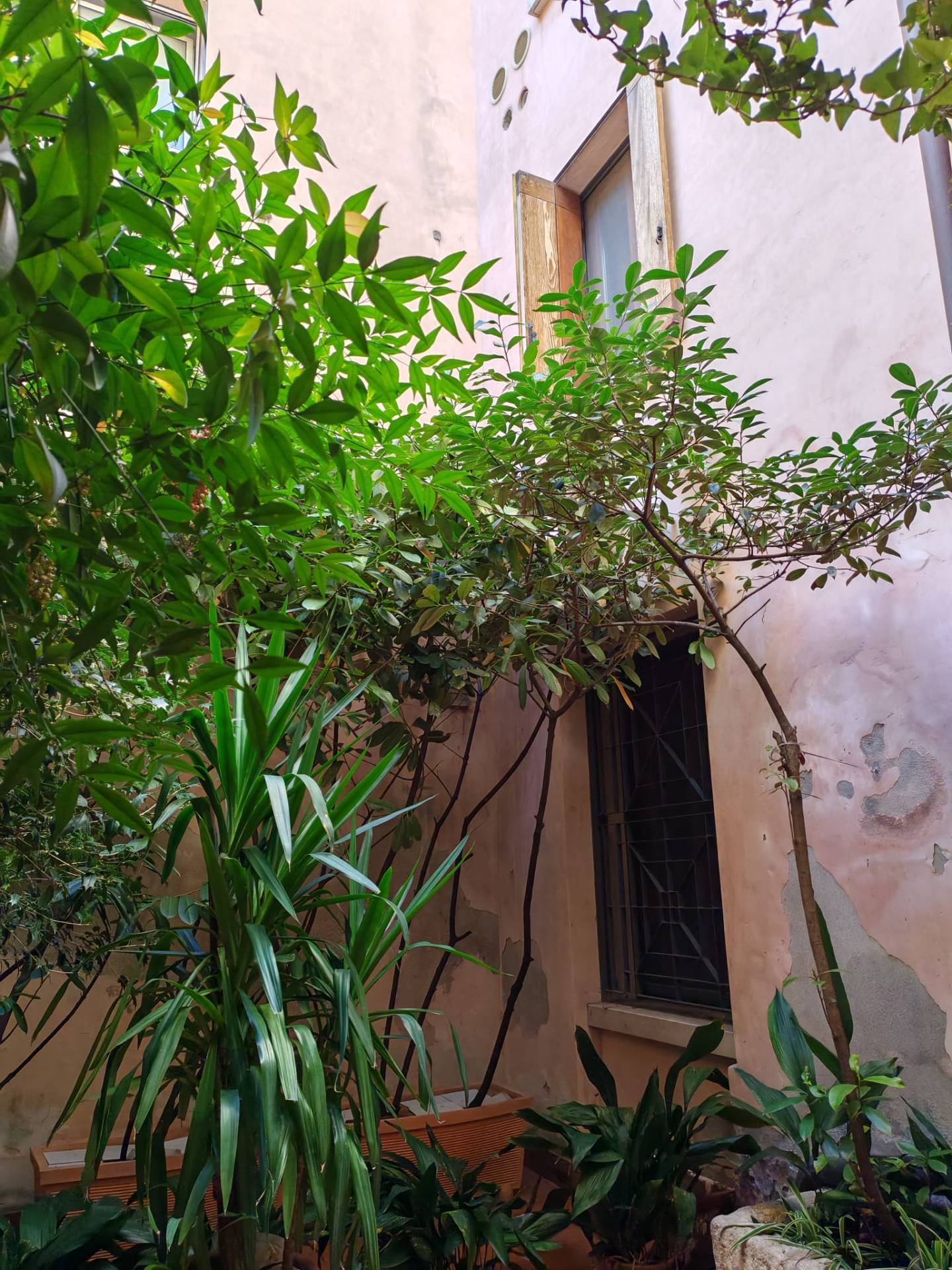 Appartamento in vendita a Mantova, Centro storico