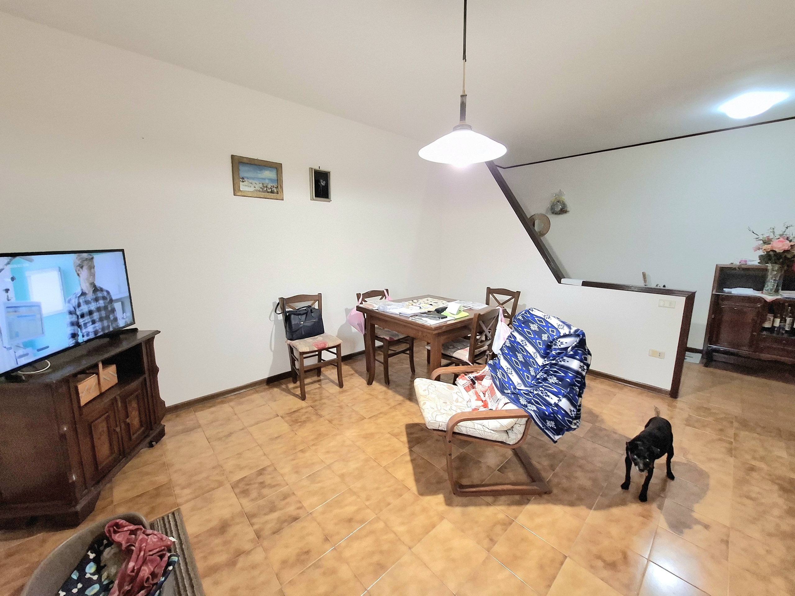 Quadrilocale con giardino in via ponte dell'asino 57, Rovigo