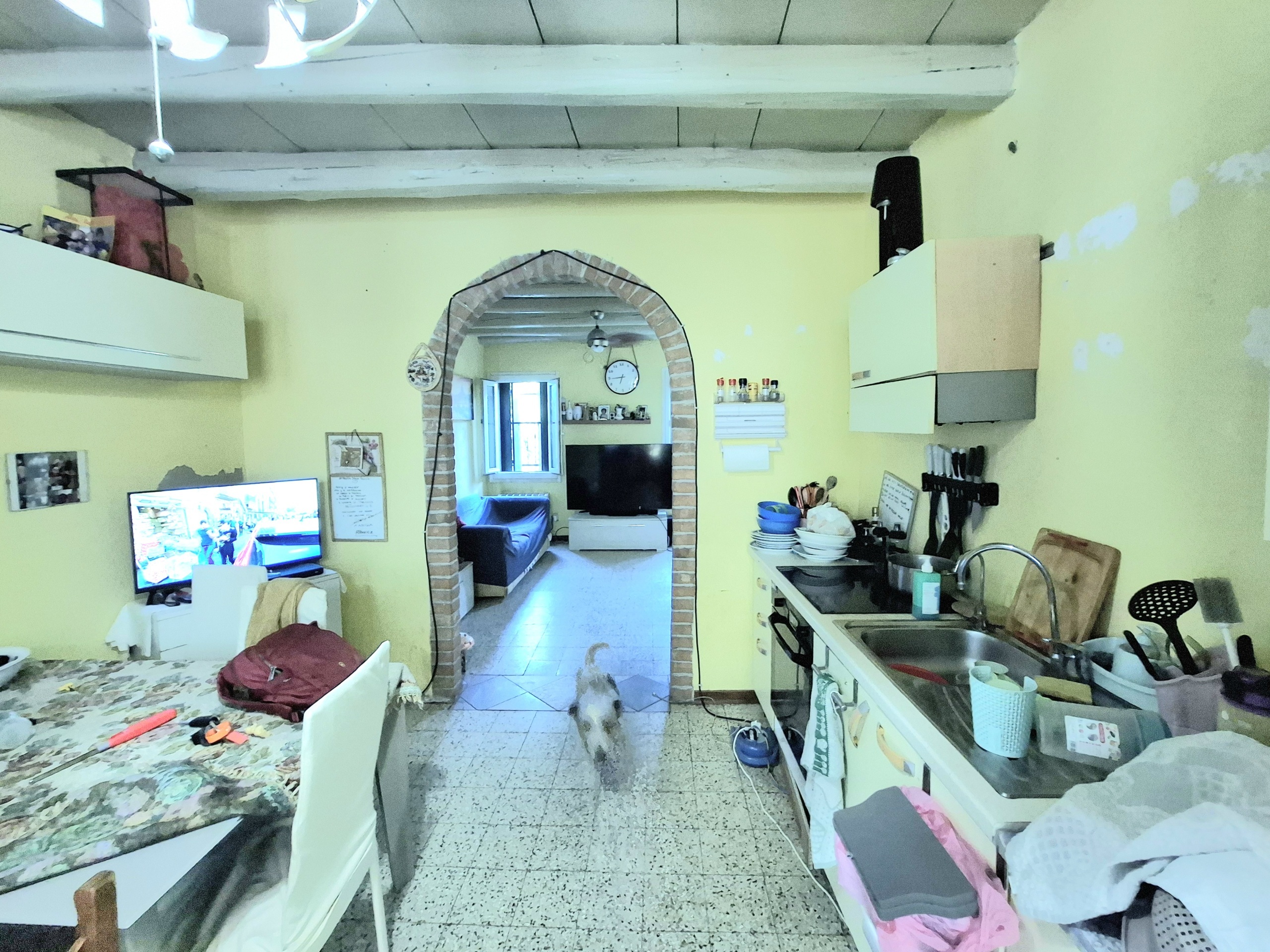 Casa indipendente con giardino in via massimo d'azeglio 4, Rovigo