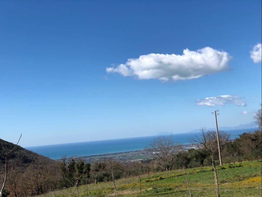 immagine annuncio 2 di 6