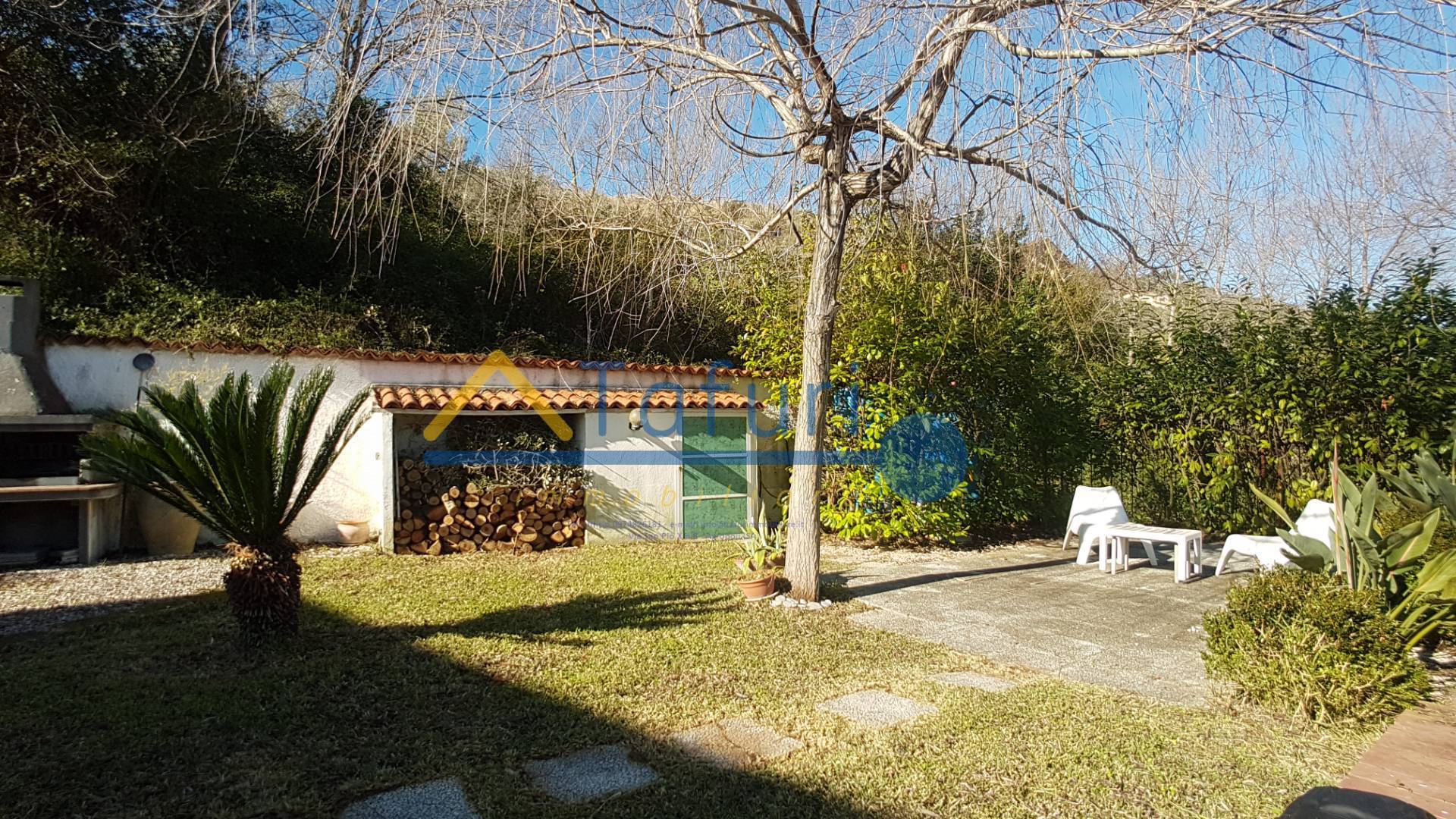immagine annuncio 3 di 6