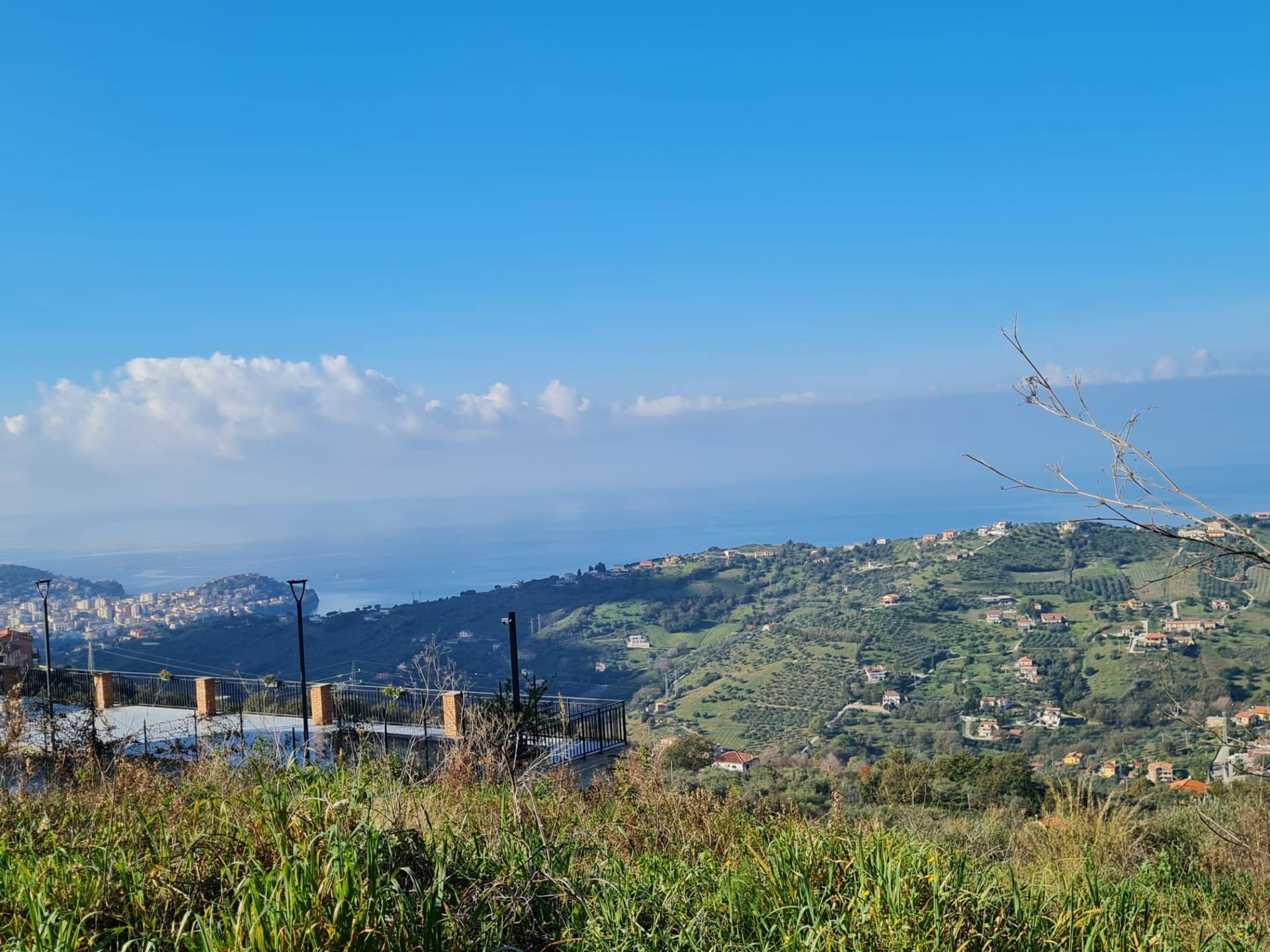 Terreno Agricolo in vendita a Ogliastro Cilento