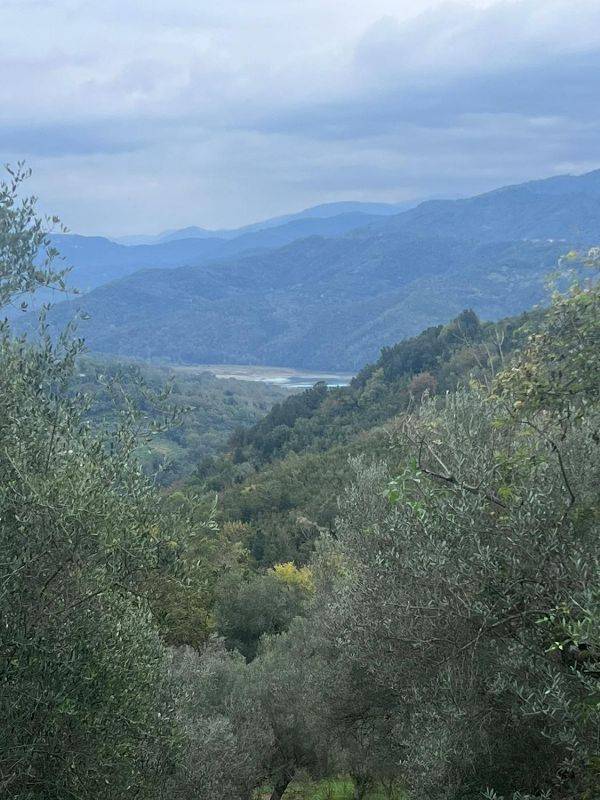 Terreno Agricolo in vendita a Prignano Cilento