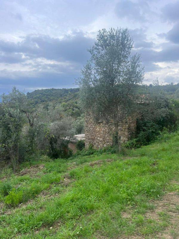 Terreno Agricolo in vendita a Prignano Cilento