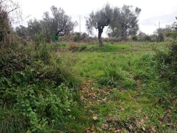 Rustico in vendita a Agropoli