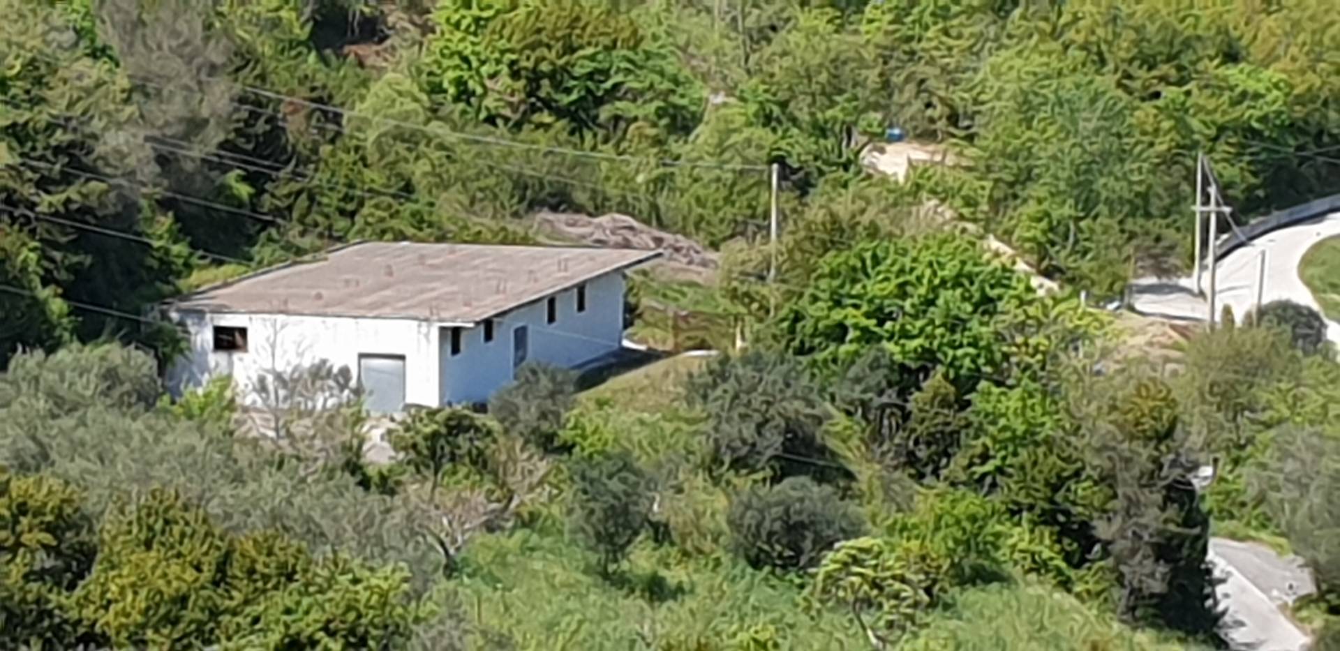 Terreno Agricolo in vendita a Torchiara, Sant'Antuono