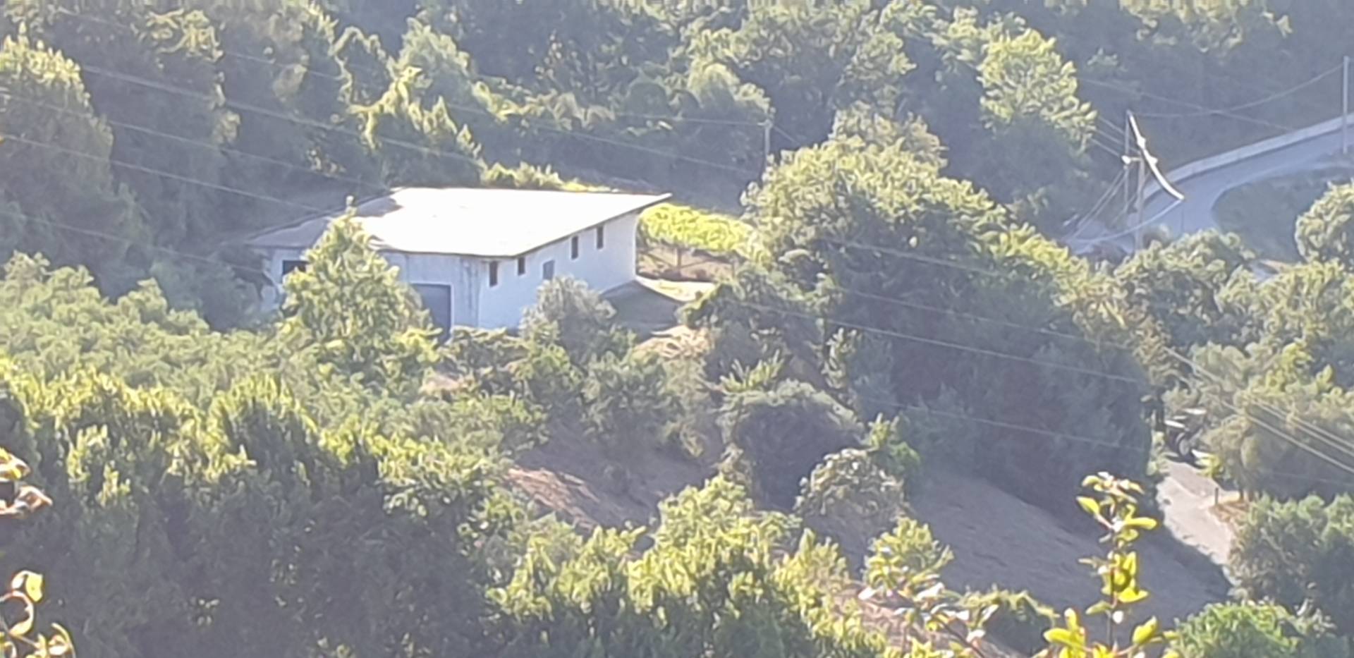 Terreno Agricolo in vendita a Torchiara, Sant'Antuono
