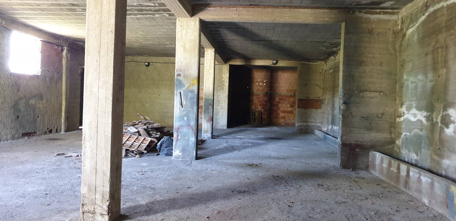 immagine annuncio 7 di 9