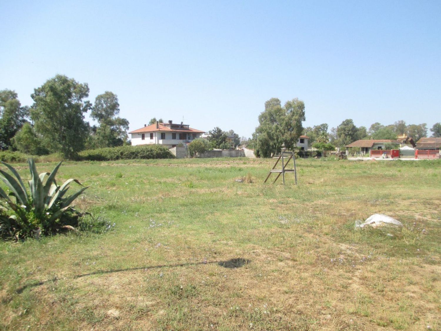 immagine annuncio 2 di 6