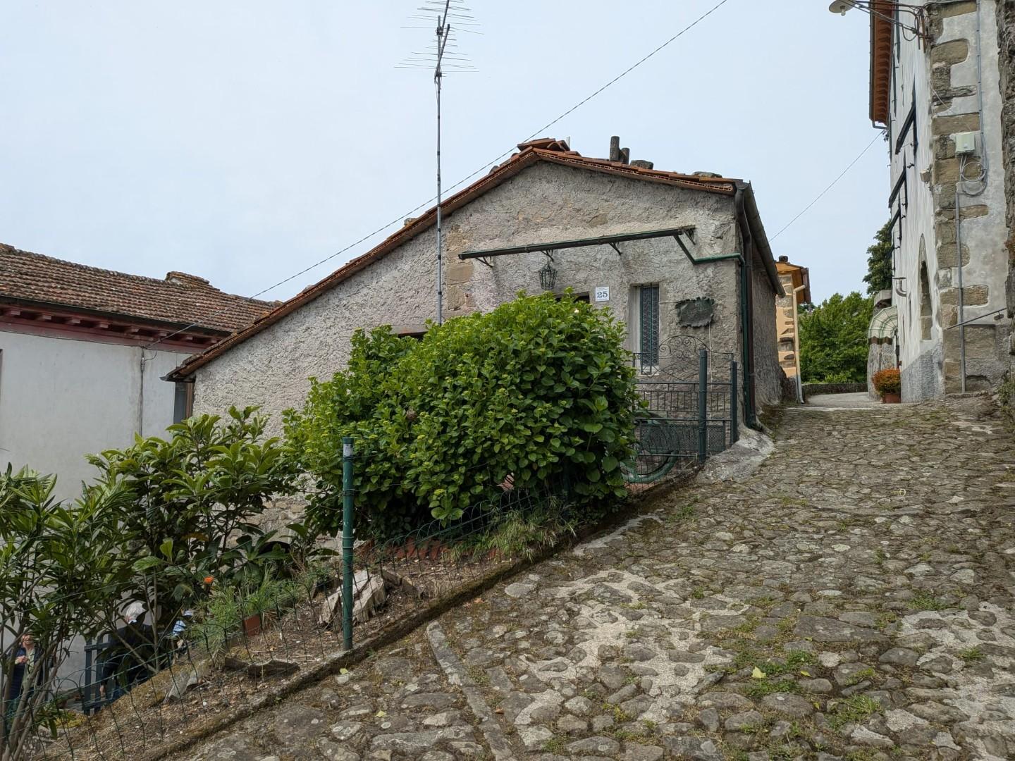 Casa indipendente in vendita, Bagni di Lucca granaiola