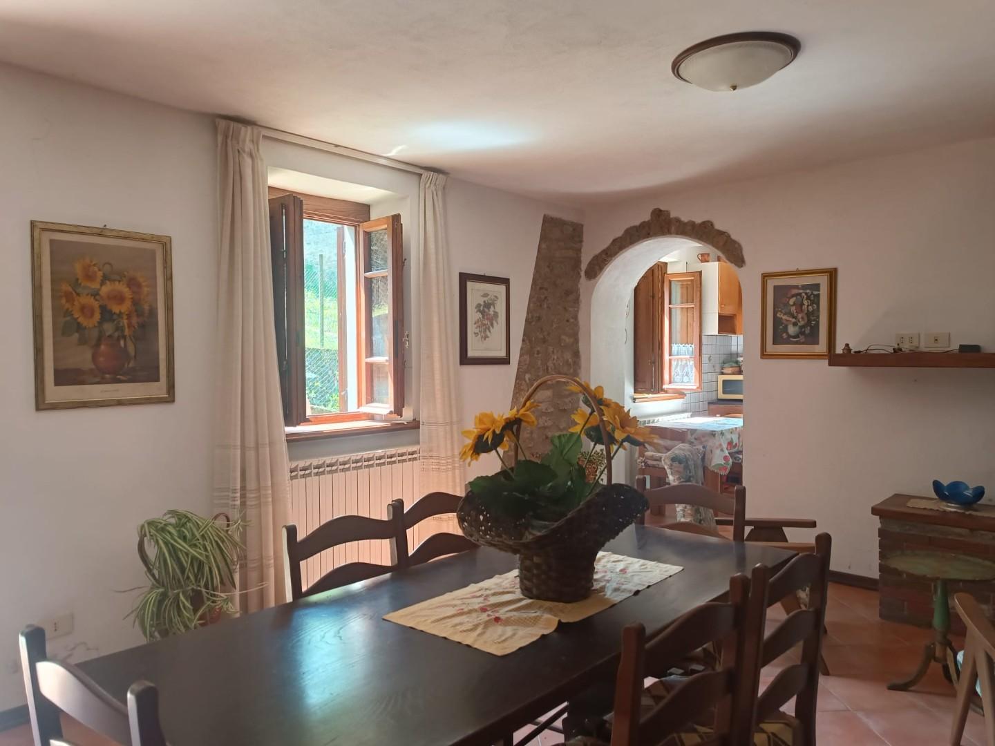Casa indipendente in vendita a Vagli Sotto