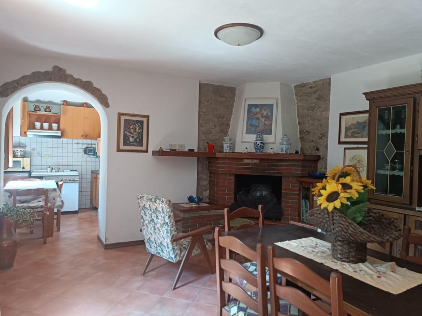 Casa indipendente in vendita a Vagli Sotto