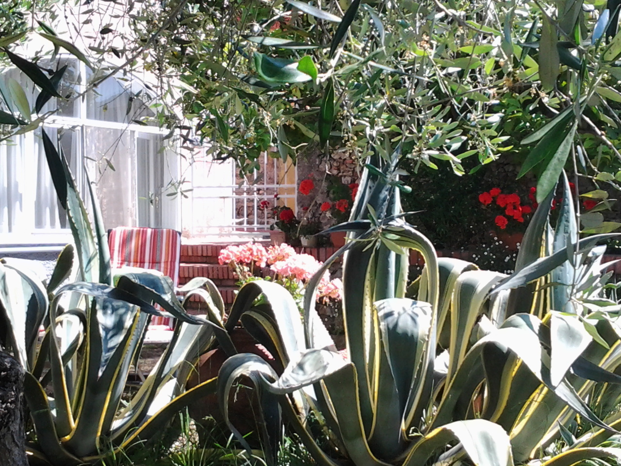 immagine annuncio 1 di 6