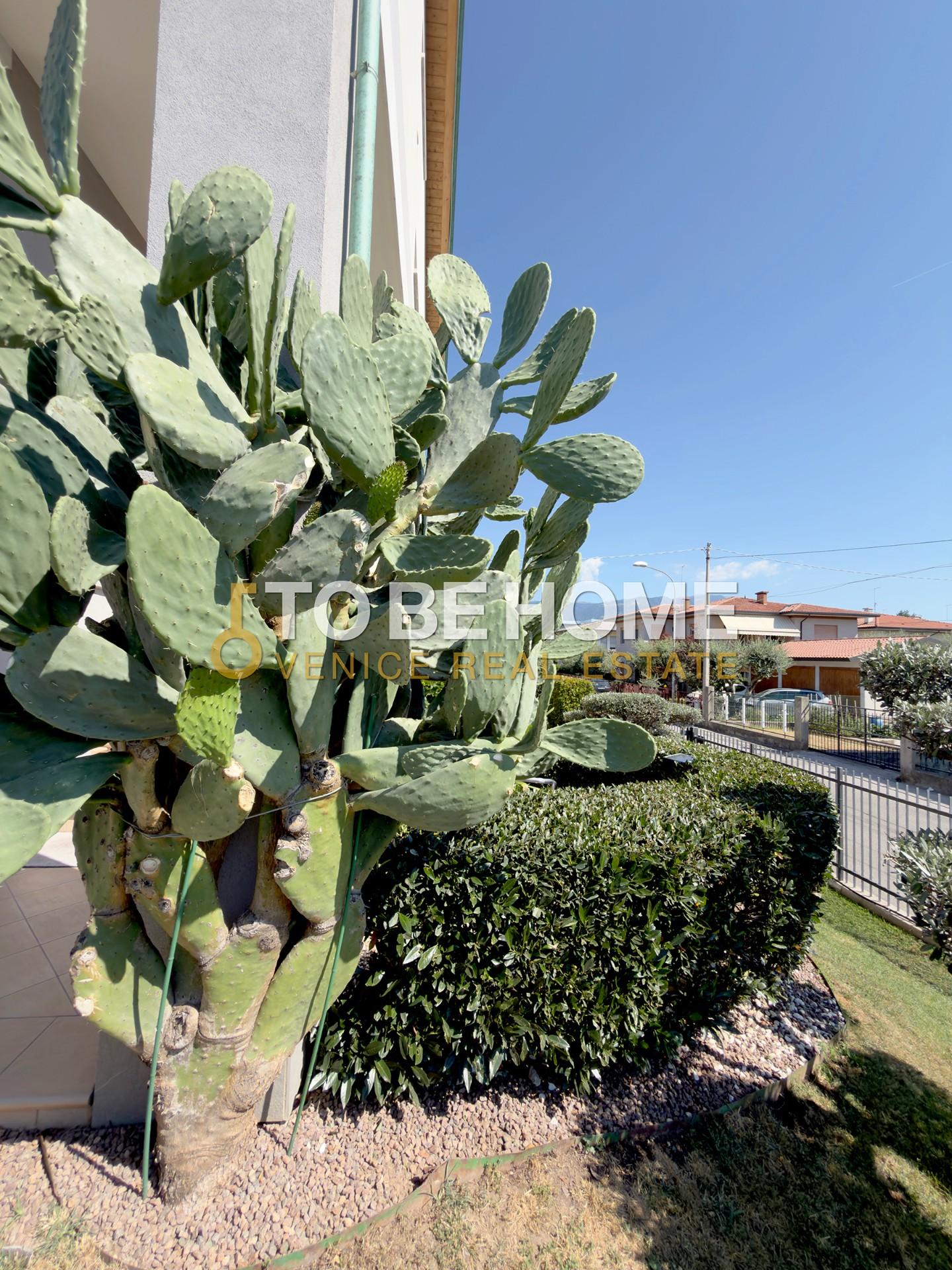Casa indipendente con giardino a Bassano del Grappa
