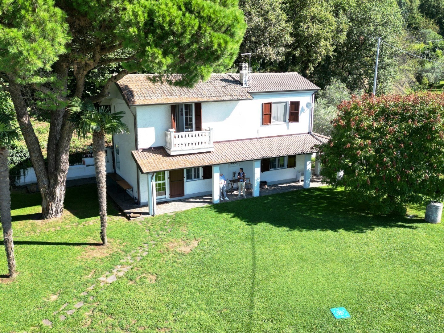 immagine annuncio 3 di 6