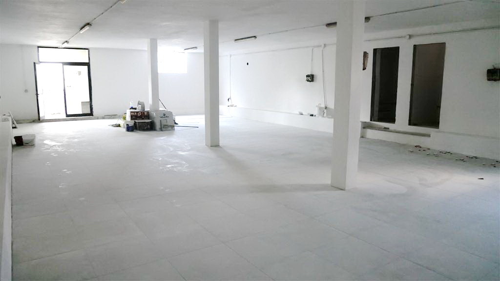 Capannone ristrutturata, Montignoso cervaiolo