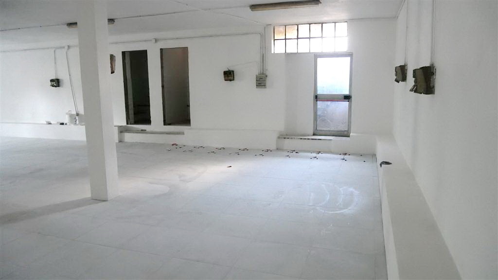 Capannone ristrutturata, Montignoso cervaiolo