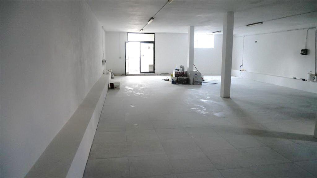 Capannone ristrutturata, Montignoso cervaiolo