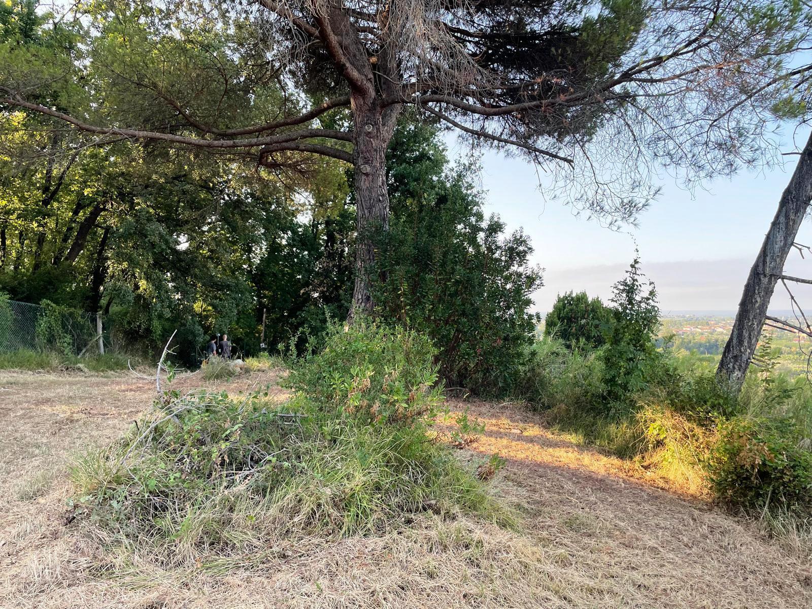 Terreno Edificabile con giardino in via degli ulivi 31, Castelnuovo Magra