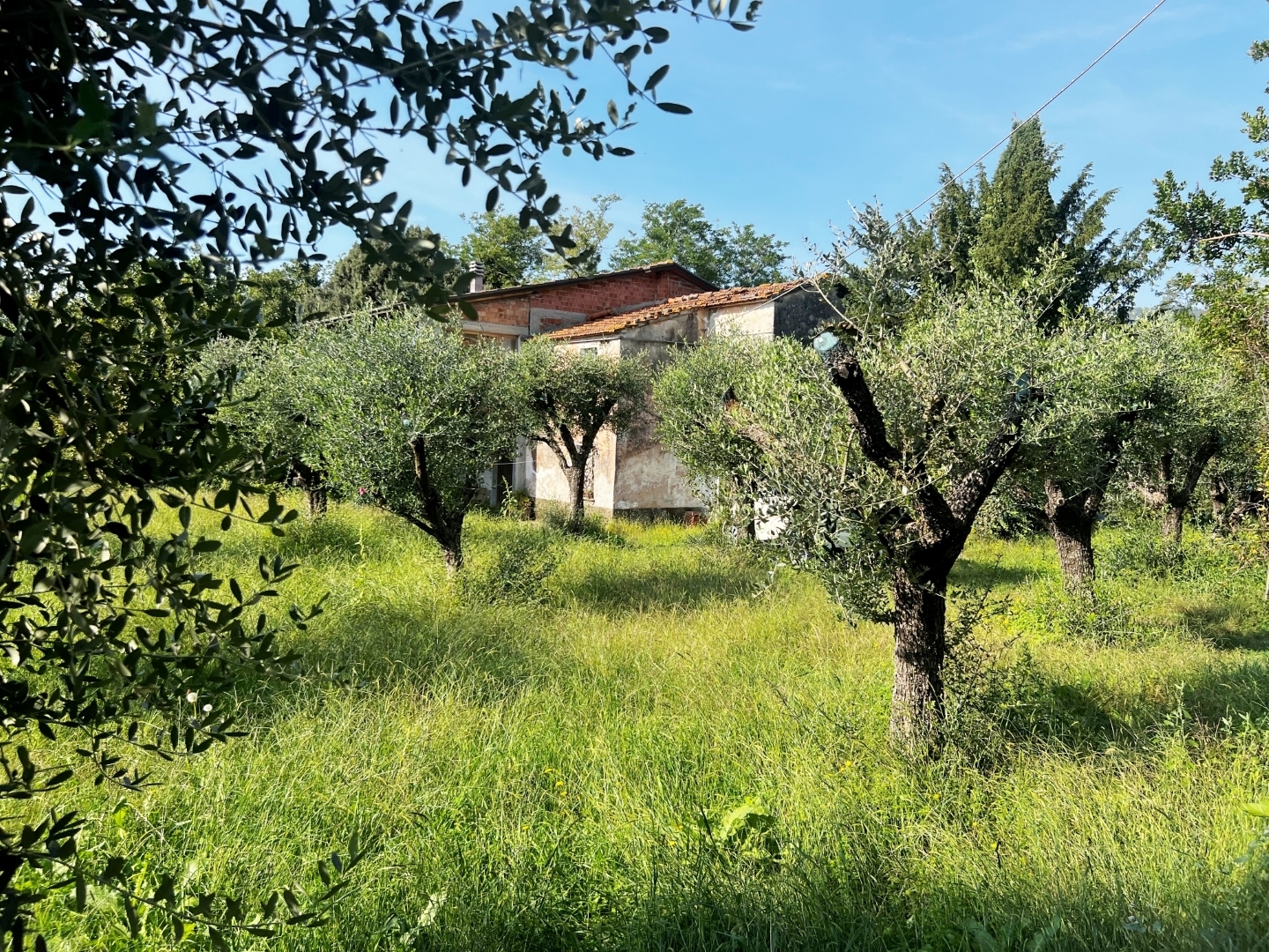 Casa indipendente con giardino in via palvotrisia 46, Castelnuovo Magra