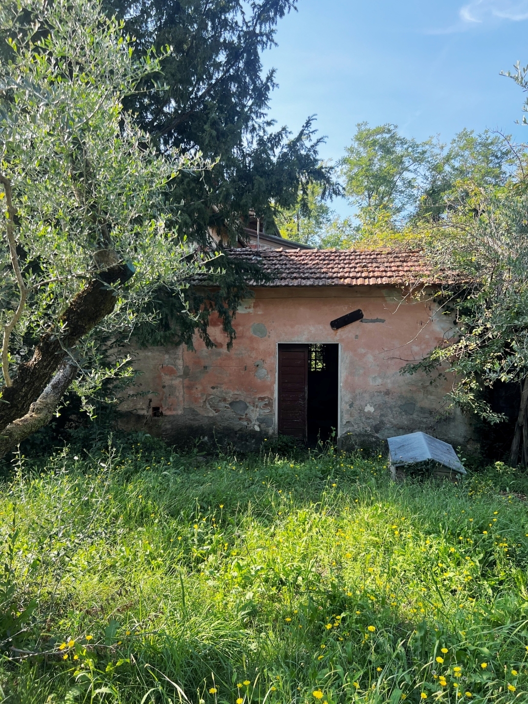 Casa indipendente con giardino in via palvotrisia 46, Castelnuovo Magra