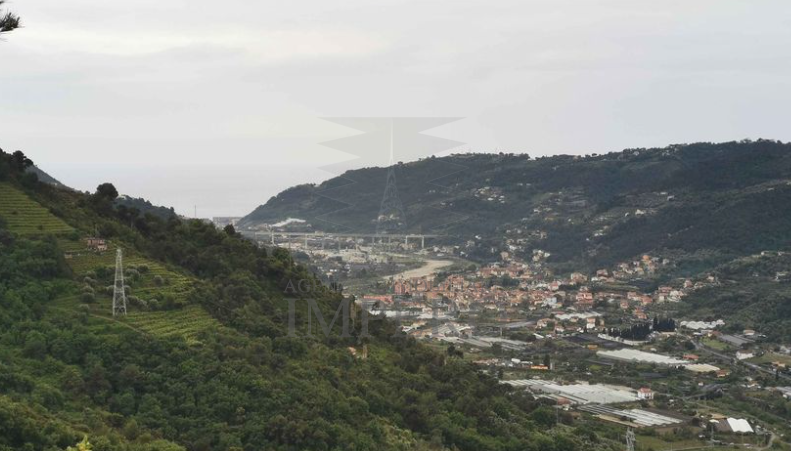 Terreno Agricolo in vendita in strada vicinale ella cresta, San Biagio della Cima