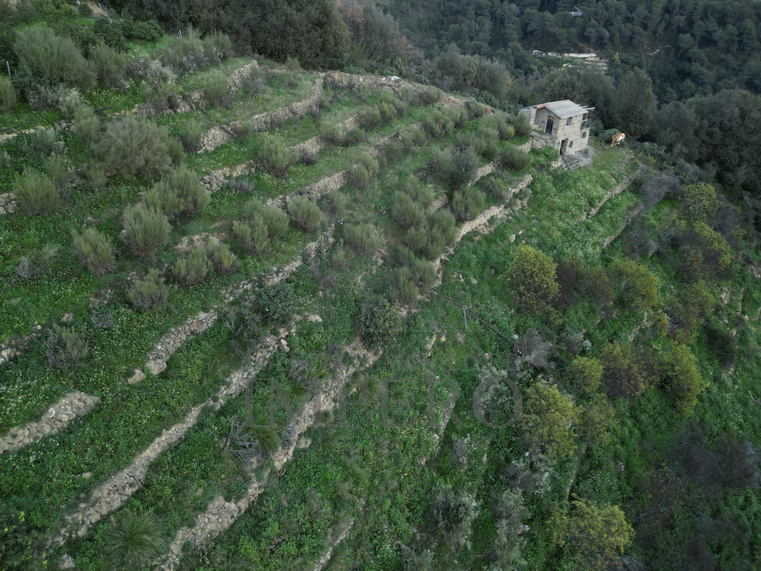 Terreno Agricolo in vendita in via delle otto case 94, Ventimiglia