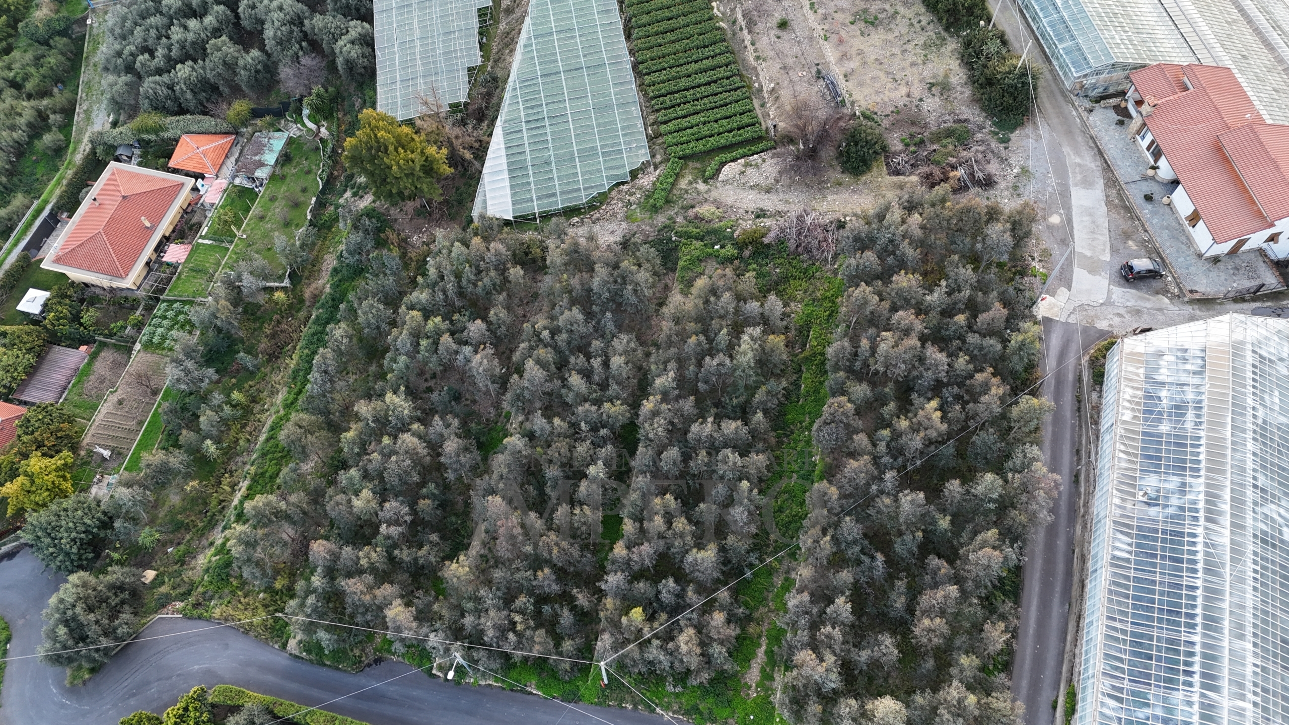 Terreno Agricolo in vendita in via gallina, Bordighera